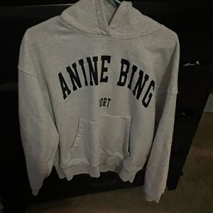 Anine bing hoodie